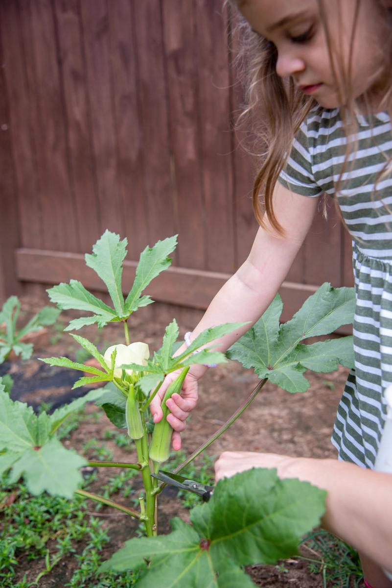 Mommy & Me: Air Fryer Okra